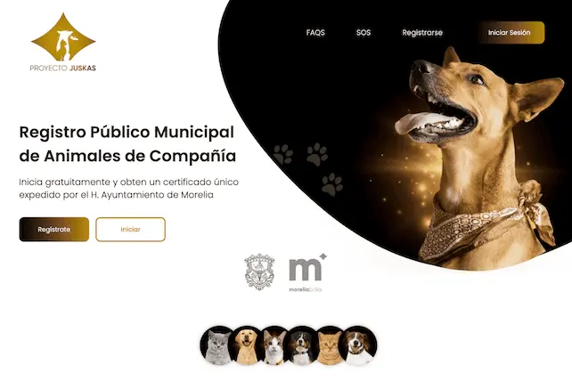 An image of the Public Pet Registry project.